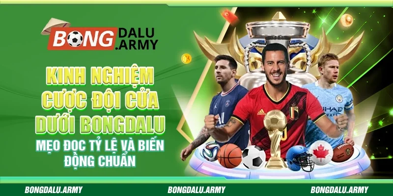 Khám Phá Bí Quyết Hiểu Rõ - Ty Le Nha Cai và Ứng Dụng Trong Thị Trường Cược Đáo Năng